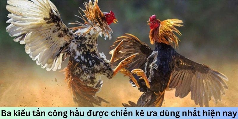 Ba kiểu tấn công hầu được chiến kê ưa dùng nhất hiện nay