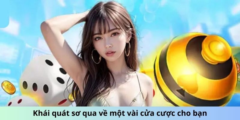 Khái quát sơ qua về một vài cửa cược cho bạn