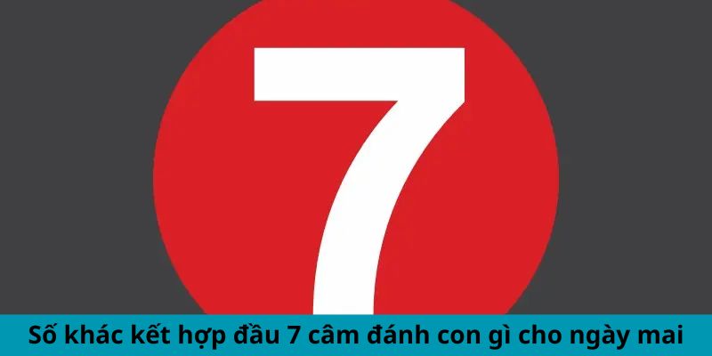 Số khác kết hợp đầu 7 câm đánh con gì cho ngày mai