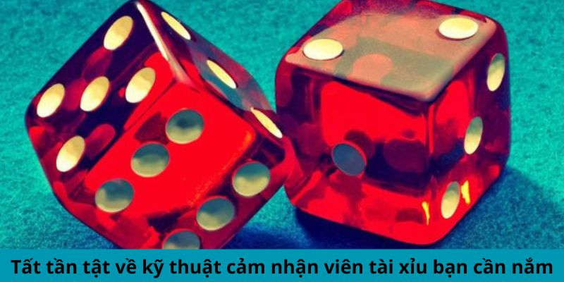 Tất tần tật về kỹ thuật cảm nhận viên tài xỉu bạn cần nắm