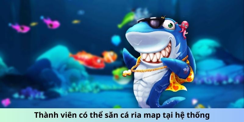 Thành viên có thể săn cá ria map tại hệ thống